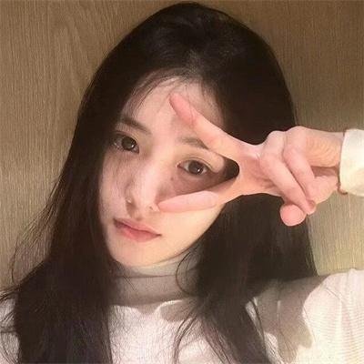 北极故事